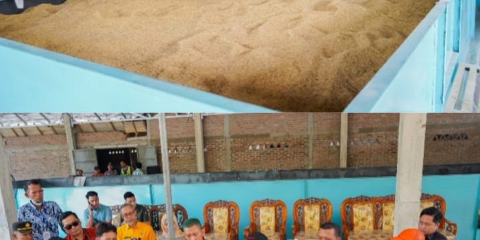 Hilirisasi Gabah di Tingkat Desa Lewat Bed Drye Guna Peningkatan Kualitas dan Nilai Jual Hasil Panen Petani