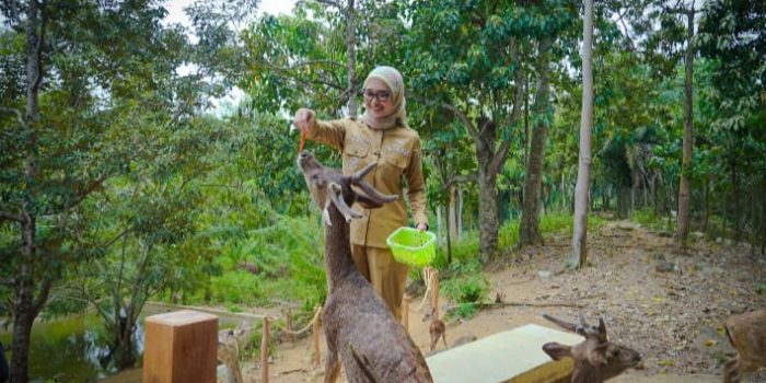 Wagub Jihan Dorong Pengelolaan Hutan Lampung yang Lestari dan Berkelanjutan